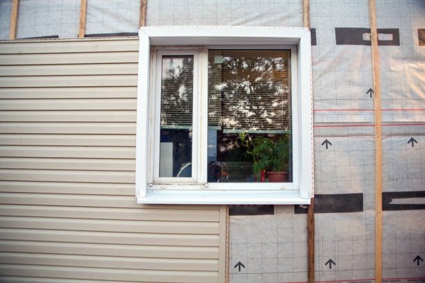 Best Custom Siding Design  in Altamont, TN