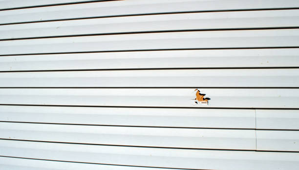 Best Residential Vinyl Siding Installation  in Altamont, TN