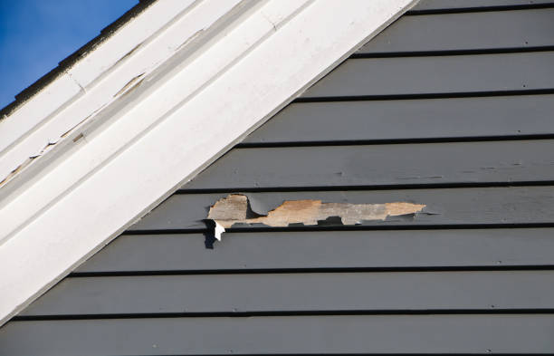 Best Fiber Cement Siding Installation  in Altamont, TN