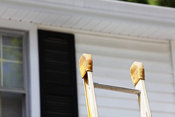 Best Siding Painting and Refinishing  in Altamont, TN