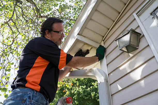 Best Siding for New Construction  in Altamont, TN